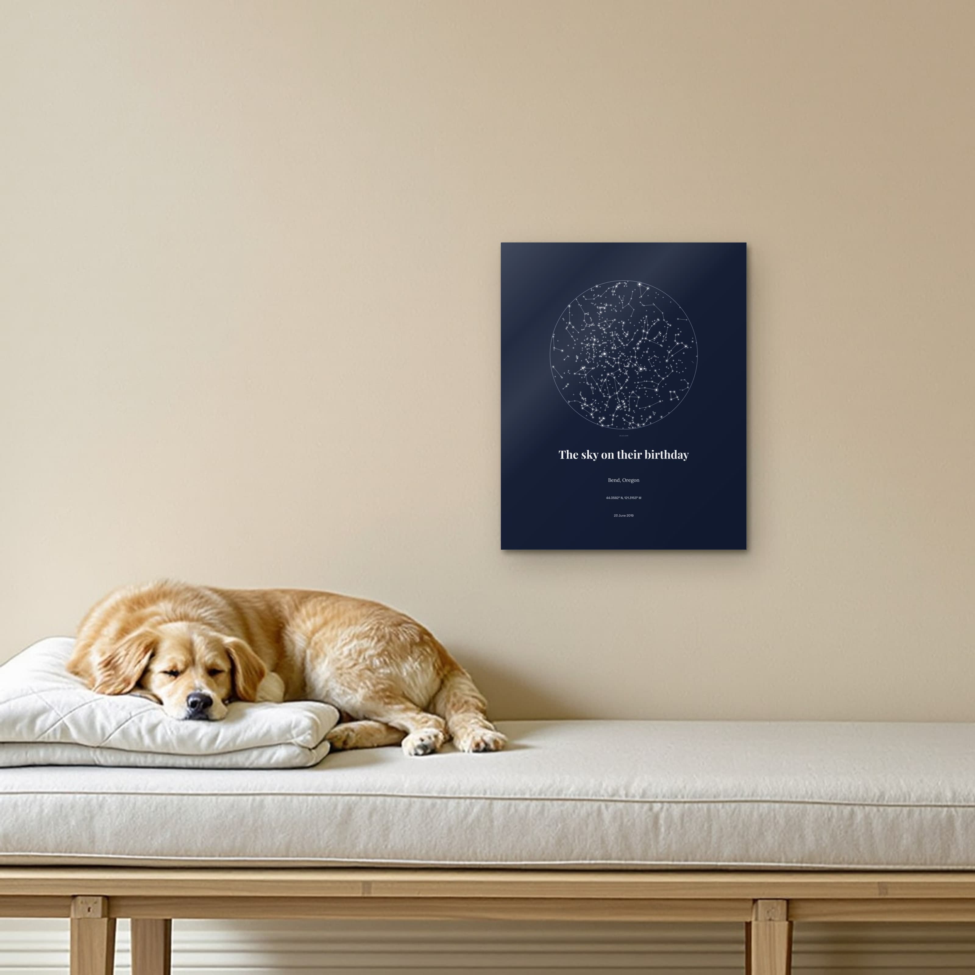 Pet Birthday Star Chart on the metal print